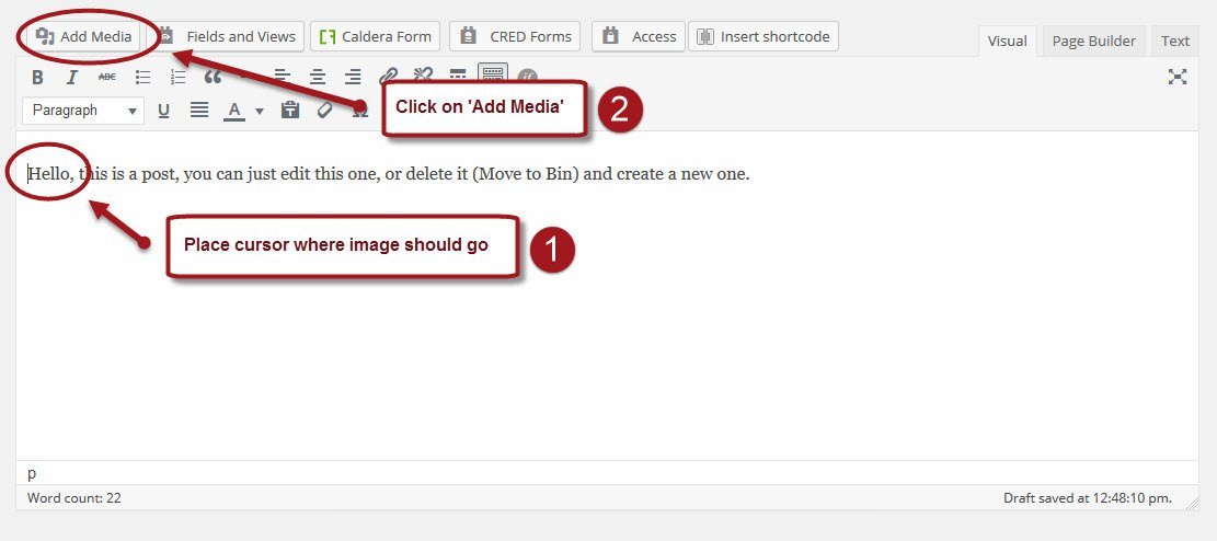 Place the cursor at the place where you want the image inserted
