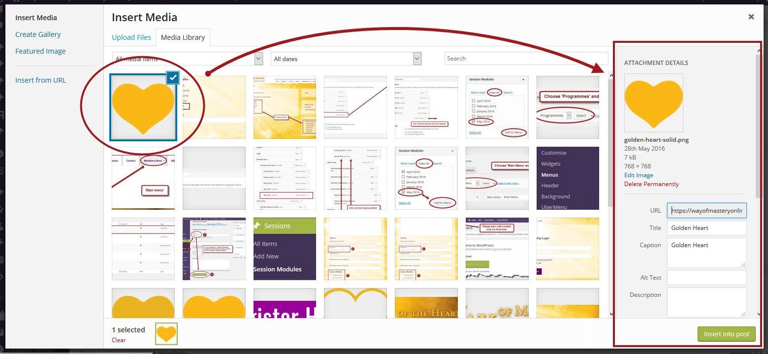 Be sure to select the image, and the file details will show on the right